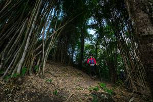 BIB: 
                            <button type="button" onclick="openModal(19395638)" class="btn btn-primary btn-sm float-right btn-popup" data-toggle="modal" data-target=".modal-high-quality">
                        <i class="fas fa-shopping-cart"></i> Add to Cart
                    </button>
                                            <button type="button" onclick="isThisMe(19395638, true)" class="btn btn-success btn-sm float-right btn-popup btn-isme hidden" data-toggle="tooltip" data-placement="bottom" title="นี่คือรูปของคุณใช่ไหม คลิกที่นี่เพื่อเอาเข้าอัลบั้ม">
                        <i class="fas fa-plus"></i> Add to album
                    </button>
                    <button type="button" onclick="isThisMe(19395638, false)" class="btn btn-warning btn-sm float-right btn-popup btn-isnotme hidden">
                        <i class="fas fa-ban"></i> Remove from album
                    </button>